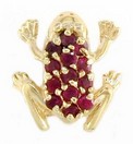 LDS SOL BACK RUBY FROG SLIDE